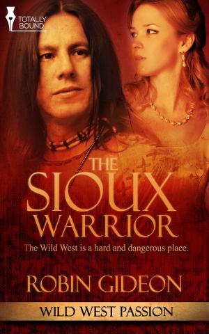 Book cover of The Sioux Warrior