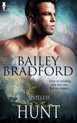 Cover of the book Hunt by Bailey Bradford