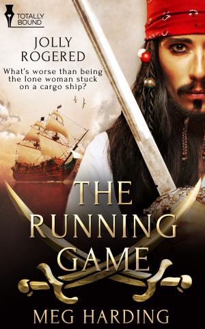Cover of the book The Running Game by Dionie McNair