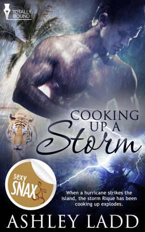 bigCover of the book Cooking Up a Storm by 