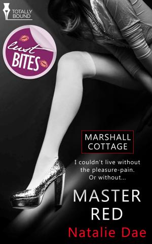 Book cover of Master Red