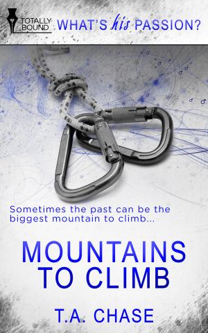 Book cover of Mountains to Climb