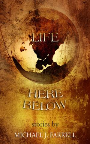 Book cover of Life Here Below