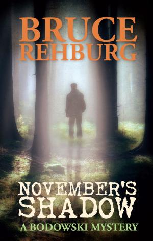 Cover of the book November's Shadow by Claire Rayner