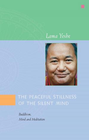 Book cover of The Peaceful Stillness of the Silent Mind: Buddhism, Mind and Meditation