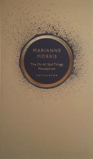 Cover of the book The On All Said Things Moratorium by Jane Duran