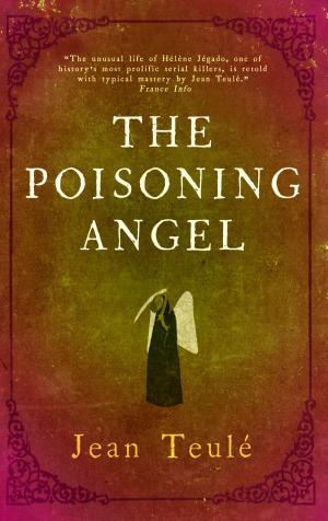 Cover of the book The Poisoning Angel by Éric Faye