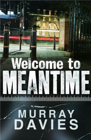 Cover of the book Welcome to Meantime by James Chambers