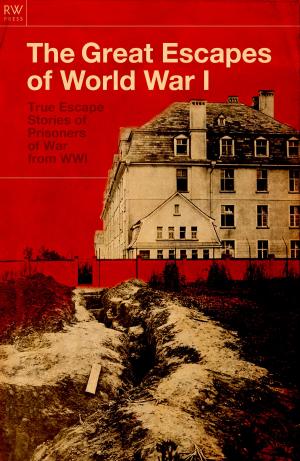 Cover of the book The Great Escapes of World War I by Benita Estevez