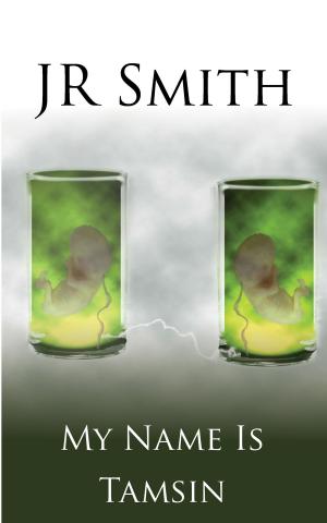 Cover of the book My Name Is Tamsin by Ruth Nestvold