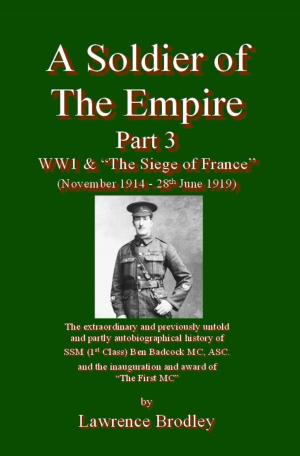 Cover of the book A Soldier of the Empire - Part 3 by T. J. Edwards