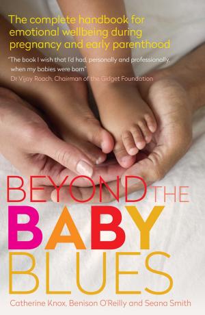 Book cover of Beyond the Baby Blues 2nd Edition
