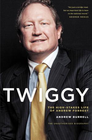 Cover of the book Twiggy by David Marr