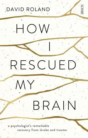 Cover of the book How I Rescued My Brain by Adri van der Heijden