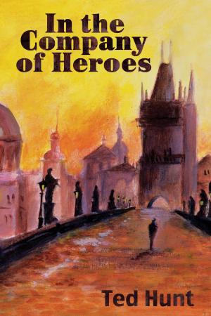 Book cover of In the Company of Heroes