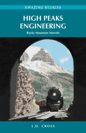 Cover of the book High Peaks Engineering by June Wood