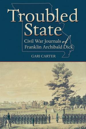 Cover of the book Troubled State by John A. Maxfield