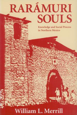 Cover of the book Raramuri Souls by George J. Marrett
