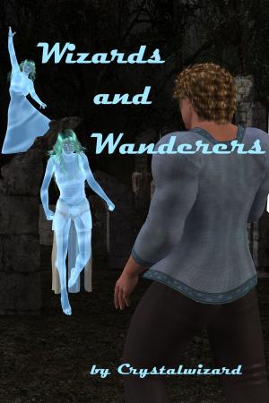 Book cover of Wizards and Wanderers