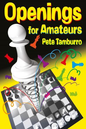 Cover of the book Openings for Amateurs by Fred Wilson