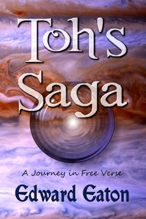 Cover of the book Toh's Saga by Terri Branson