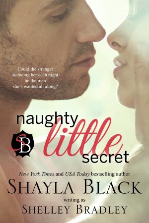 Book cover of Naughty Little Secret