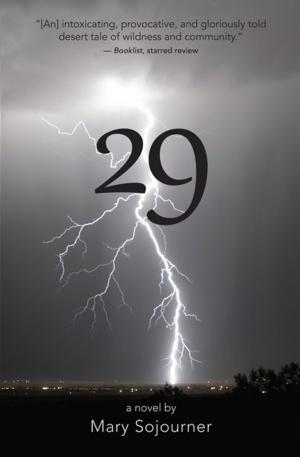 Cover of the book 29 by Charlene D'Avanzo