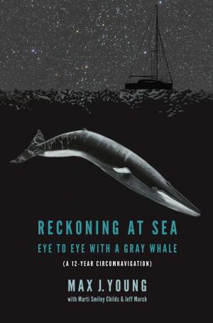 Cover of the book Reckoning at Sea by Gary R. Carini, Mark G. Dunn