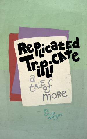 Cover of the book Replicated Triplicate by Asymmetrical Press, Colin Wright, Joshua Fields Millburn