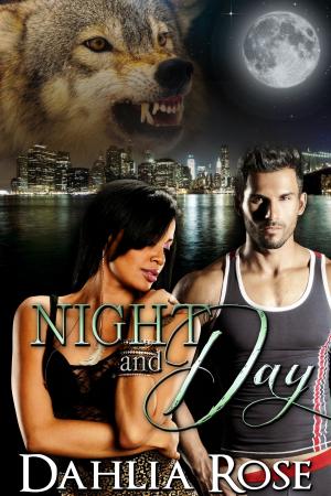 Cover of the book Night and Day by Rebecca Winters
