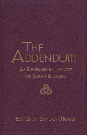 Cover of the book The Addendum by Birgitta Hjalmarson