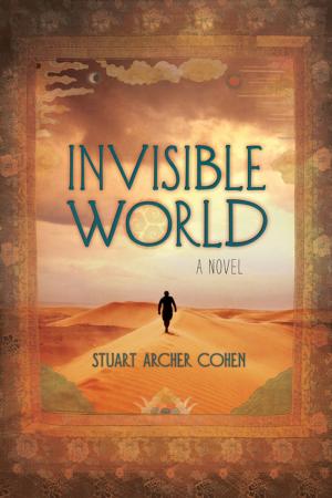 Cover of the book Invisible World by Kevin McCaffrey