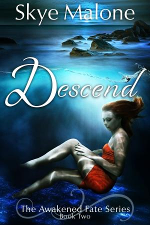 Book cover of Descend