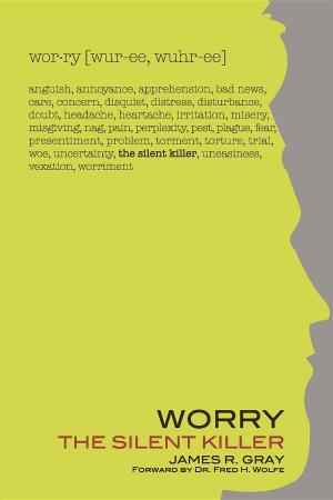 Cover of the book Worry by David Nordmark