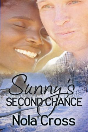 Book cover of Sunny's Second Chance