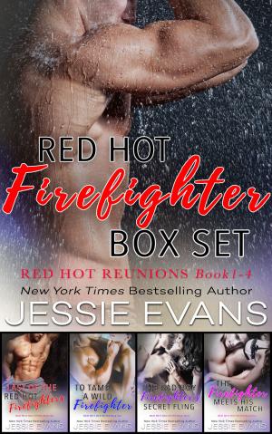 Cover of the book Red Hot Firefighter Box Set by Lili Valente