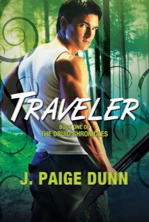 Cover of the book Traveler: Book One of the Druid Chronicles by Kaaron Warren