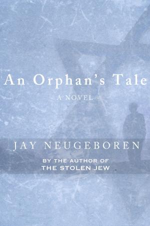 Cover of the book An Orphan's Tale by Allen Wier