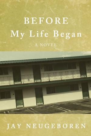 Cover of the book Before My Life Began by John Domini