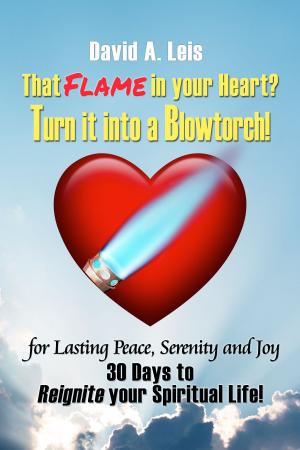 Cover of the book That Flame in your Heart? Turn it into a Blowtorch! by Michael Van Vlymen