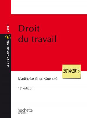 Cover of the book Droit du travail by Jean-Claude Ricci, Pierre-Henri Prélot