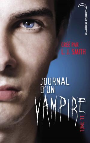 Cover of the book Journal d'un vampire 11 - Rédemption by E.M. Swift-Hook