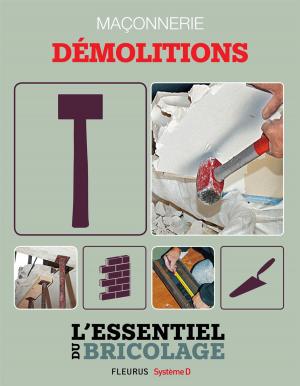 Cover of the book Maçonnerie : Démolitions by Lucie Brunelliere