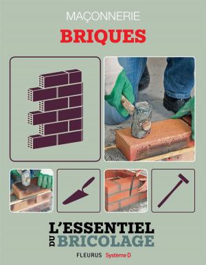 Cover of the book Maçonnerie : Briques by Elen Lescoat, Rosalinde Bonnet