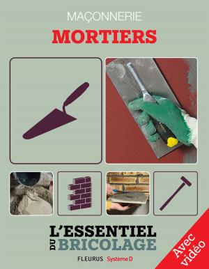 Cover of the book Maçonnerie : Mortiers - Avec vidéo by Karen Wood