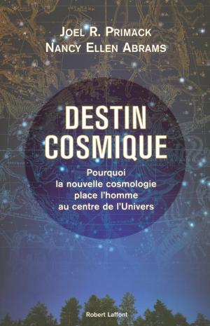 Cover of the book Destin cosmique by Ingrid DESJOURS