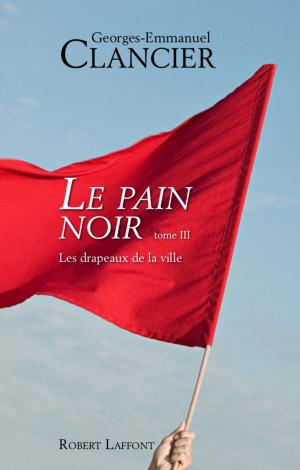 Book cover of Le Pain noir - Tome 3