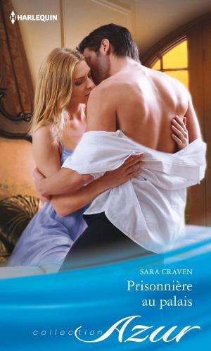 Cover of the book Prisonnière au palais by Sarah M. Anderson, Lauren Canan, Andrea Laurence