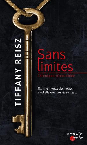 bigCover of the book Sans limites by 