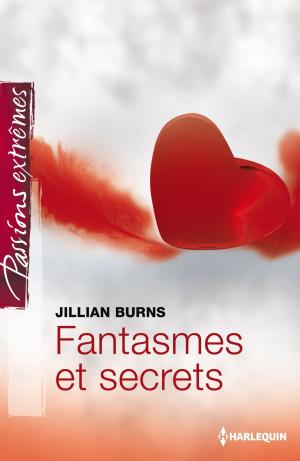 Cover of the book Fantasmes et secrets by Leah Ashton